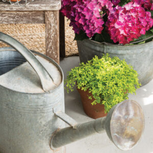 The Cottage Journal Country Cottage 2026