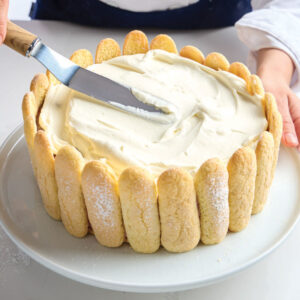 Cake with whipped cream
