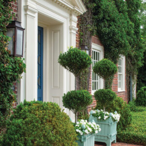 Green entryway