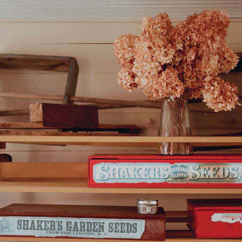 Shelf with flowers and books