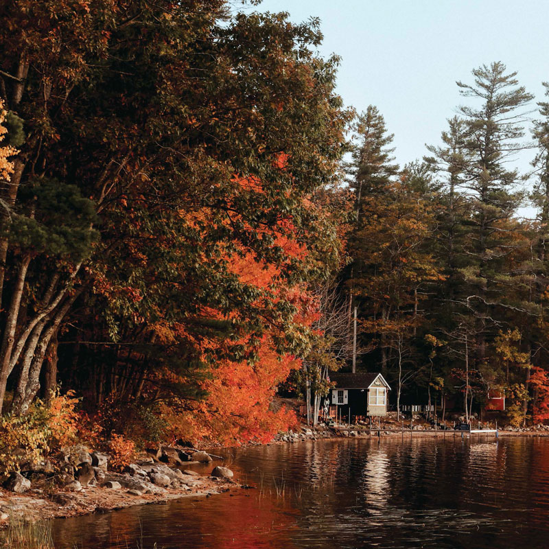 Lake in the fall
