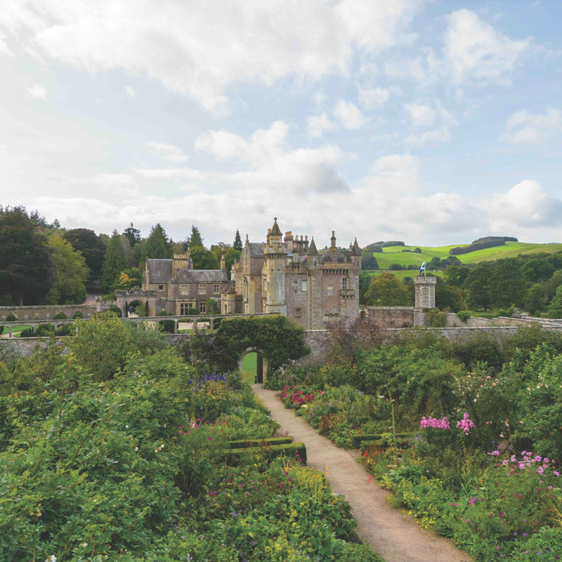 Our Hearts are in Scotland and Ireland - Image 12