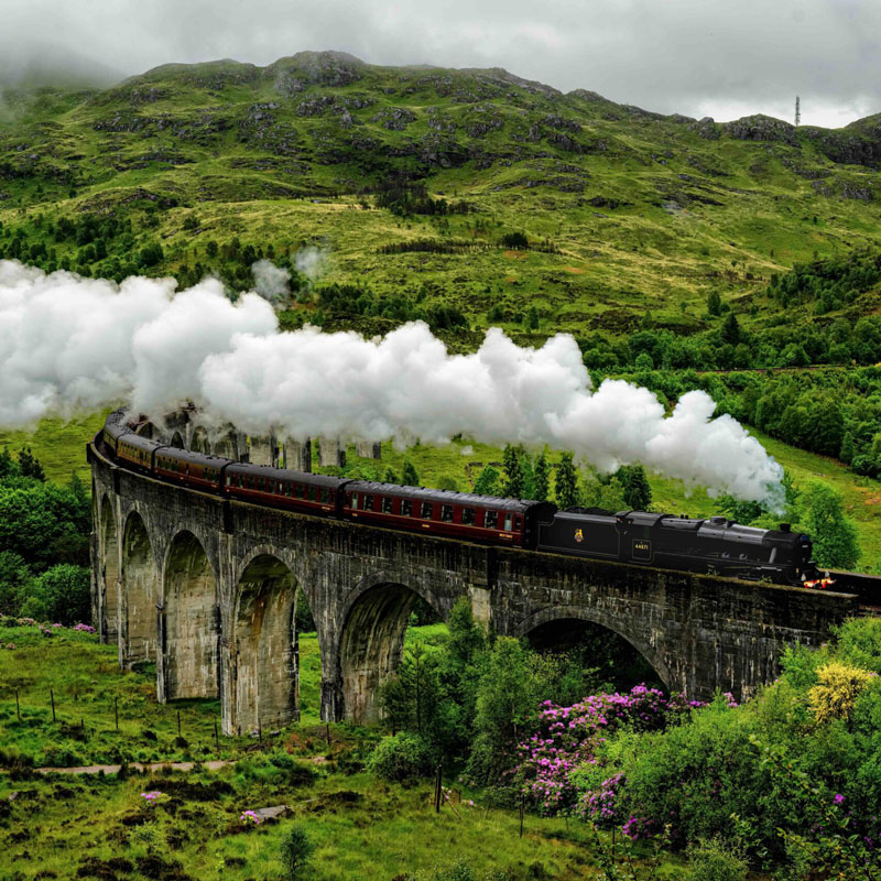 Our Hearts are in Scotland and Ireland - Image 14
