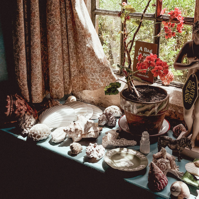 Seashells sitting on a window sill